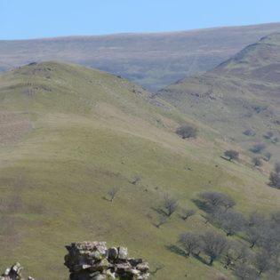 Dinas Castle Inn Brecon Exteriör bild